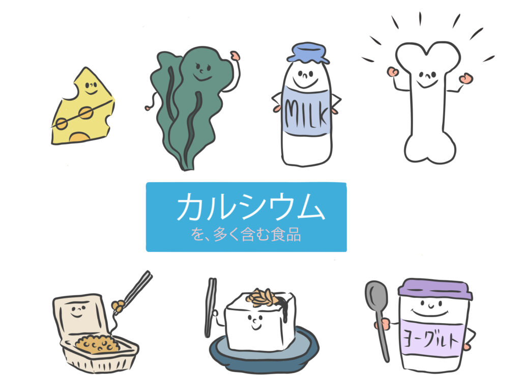 エクストラカルシウム MDK 2 リーフレット